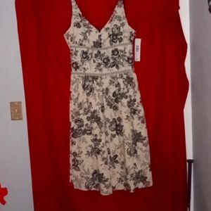 Robbie Bee dress, Brand new, size 14, tan and black.